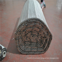 Stainless steel wire mesh balanced screw conveyor mesh belt